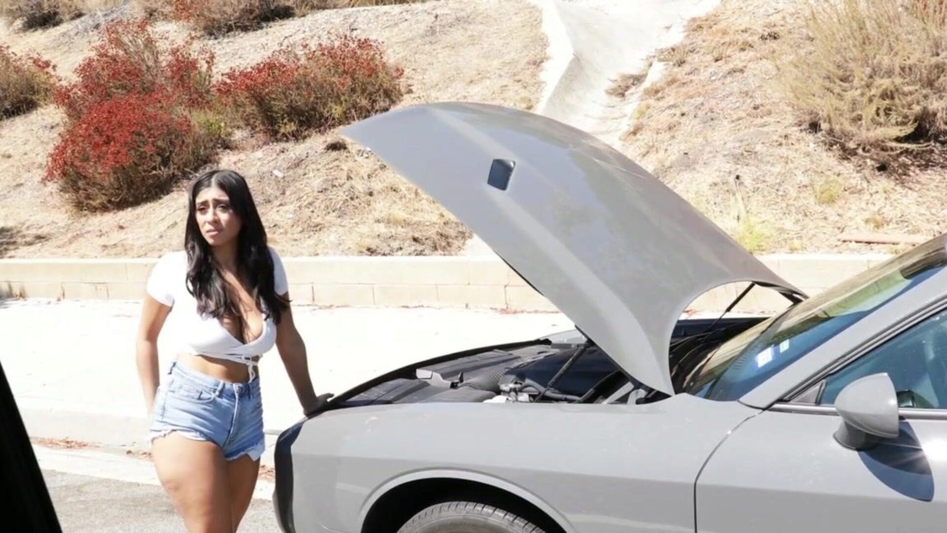 win222 com - Busty Latina Violet Myers Offers Her Pussy To Random Black Dudes