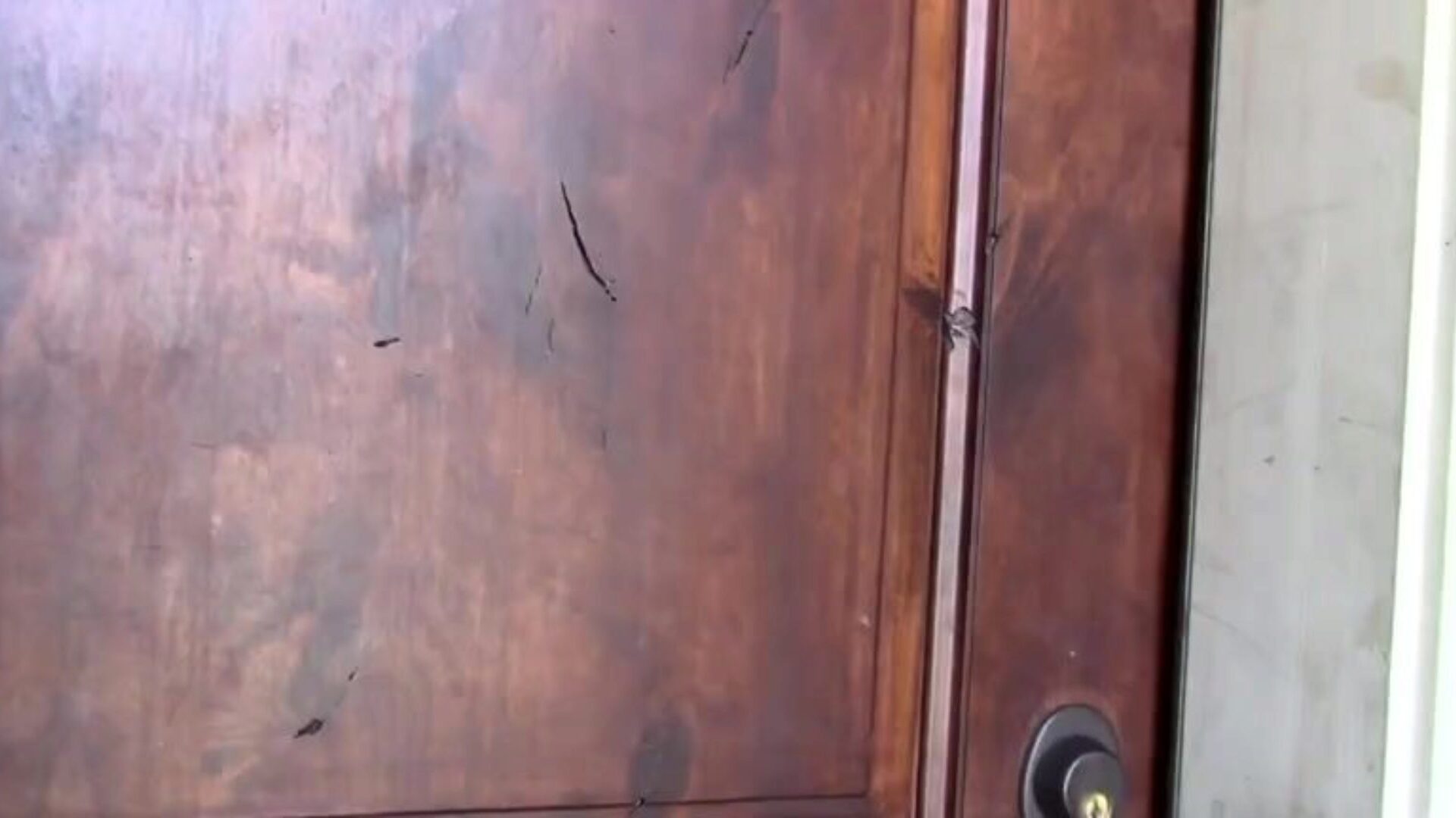 Wicked tenant spilled by landlord for downloading porn torrents Landlord receives cease and desist letters regarding tenant downloading porn and attempts to take her modem away, so that playgirl copulates him to keep him from doing that.